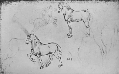To studier af heste, en af en galoperende rytter og andre af hesteben, c1480 1945