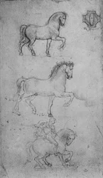 To studier af en hest og en af en hest og rytter, c1480 1945