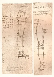 To tegninger, der illustrerer teorien om proportionerne af den menneskelige figur, c1472-c1519 1883