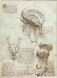 Ukendt billede