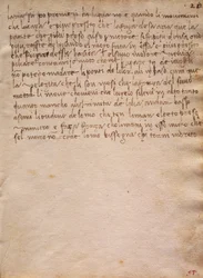 Usigneret uddrag fra The Codex Trivulzianus