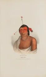 PE-A-JICK; En chippewa-høvding, fra The Aboriginal Portfolio