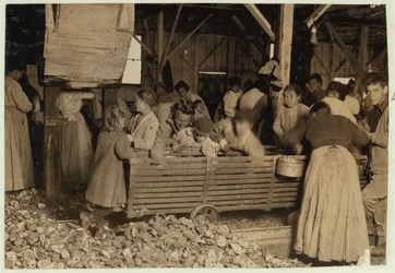 Bill May, 5 år, der tjener 15 cents om dagen, i skuret ved Barataria Canning Company, Biloxi, Mississippi, 1911