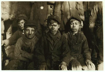 Drenge, der sorterer kul i hånden, hos Hughestown Borough Coal Co., Pittston, Pennsylvania, 1911