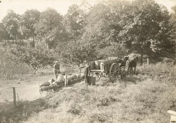 Uden titel, ca. 1935.