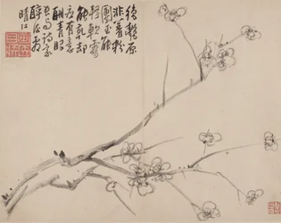 Album af Blossoming Plum, 1742.
