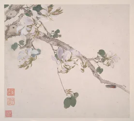 Insekter og blomster, dateret 1865 (album med otte blade; blæk og farve på papir)