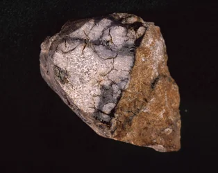 Meteorit fundet i Indien i 1875 - Museum d