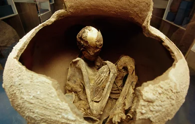 Mor i en keramisk urne. Atacama civilisation, Paleolithic.