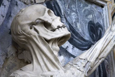 Flayed, eller skelettet, detalje