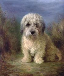 Dandie Dinmont Terrier (olie på lærred)