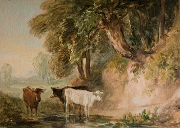 Pastoral scene med kvæg, [1800-tallet].