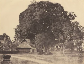 Rangoon: Den store klokke på Shwe Dagon-pagoden, november 1855 (foto)