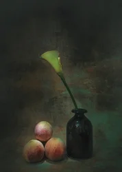 Stilleben med en stemningsfuld calla-lilje