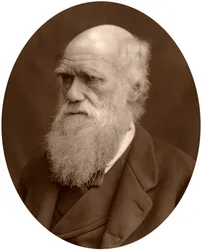 Charles Darwin, 1878.