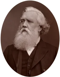 Højre Hon Austen Henry Layard DCL, britisk ambassadør i Konstantinopel, 1877.