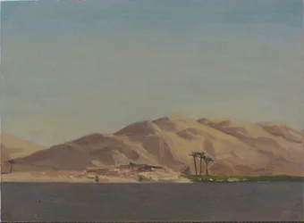 Fire palmer på frodig mark nær Nilen