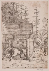 Bjørnen der rider