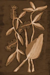 Økologiske Sepia Botanicals