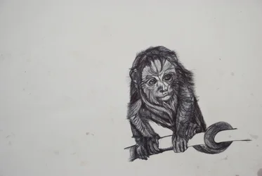 Monkey Business,2016,(bic biro på papir)