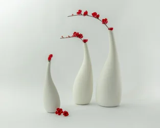 Røde vaser og blomster