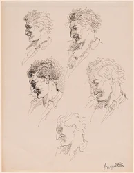Hovedstudier
