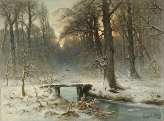 En januaraften i skoven i Haag