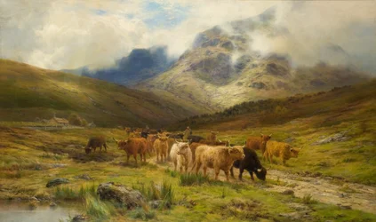Forlader bakkerne