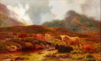 Hedelandskab ved Clachaig, Glencoe