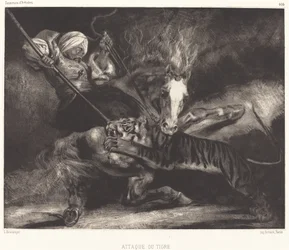 Tigerangreb