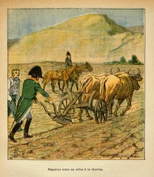 Illustration af Bombled Louis (1862-1927) fra bogen "The Memorial of Saint Helene" af Grev Emmanuel de Las Cases (1766-1842): På St. Helene sporer kejser Napoleon en fure til ploven, Privatsamling