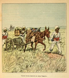 The War in Madagascar-Anekdotisk historie om de franske ekspeditioner i 1885-1895 af Henri Galli dit Galllichet (1854-1922), illustreret af Louis Bombled (1862-1927): Hovas-kanoner bragt tilbage til den franske lejr, privat samling