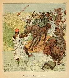 The War in Madagascar-Anecdotal History of the French Expeditions of 1885-1895 af Henri Galli dit Galllichet (1854-1922), illustreret af Louis Bombled (1862-1927): Mulet nægter at krydse en gue under den franske ekspedition til Madagaskar i 1895 , menig C