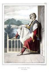 En side af Veli, pasha deThessalie. i "" Rejsen til Athen og Konstantinopel, eller samling af græske og osmanniske portrætter, udsigter og kostumer, malet på naturens steder, litografier og farver af Louis Dupre (1789-1837), Davids elev.1825.