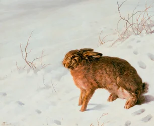 Hare i sneen, 1875