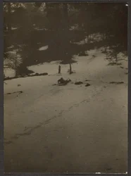 [Barn kælker ned ad bakke]