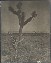 [Danser ved Joshua Tree]