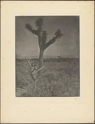 [Danser ved Joshua Tree]