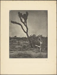 [Danser ved Joshua Tree]