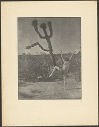 Dansende mester