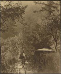 [Mand på vej til et sommerhus i skoven]