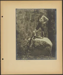 På Selvmordsklippen