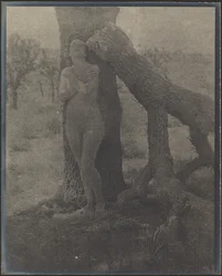 Joshua-ånden