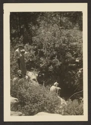 [Forår i Fern Valley]