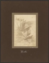 Tidsler