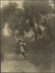 To kvinder, der danser i skoven