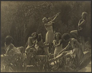Vandliljer