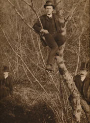 Mand sad i et træ, 1937