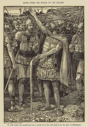 David hælder vandet på jorden