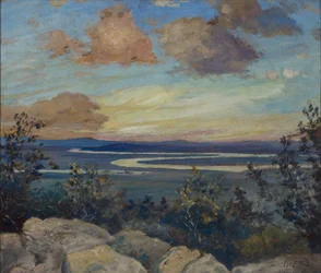 Slyngende flod
